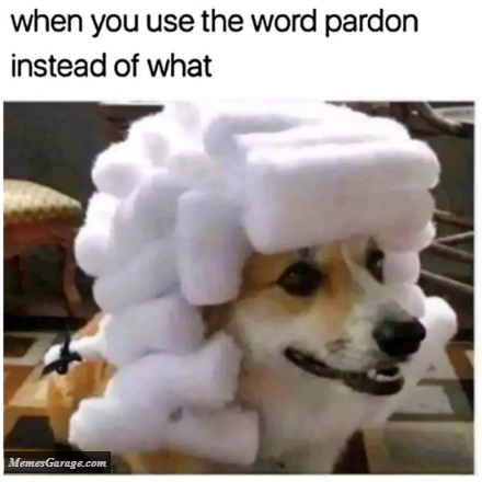 When You Use The Word Pardon Instead Of What Meme