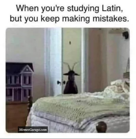 When You're Studying Latin, But You Keep Making Mistakes Meme