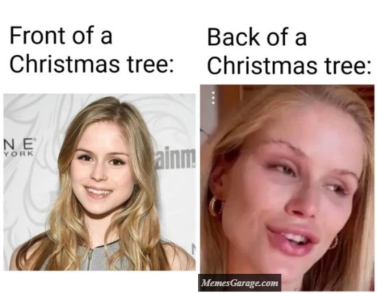 The Front Vs The Back Of A Christmas Tree