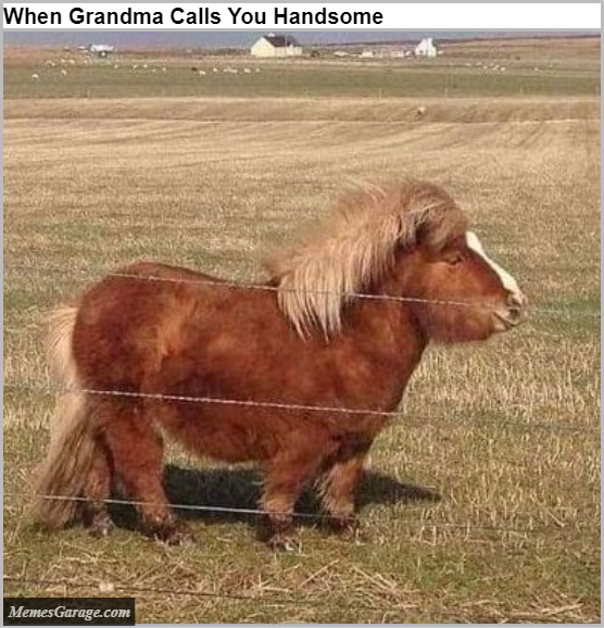 When Grandma Calls You Handsome Meme