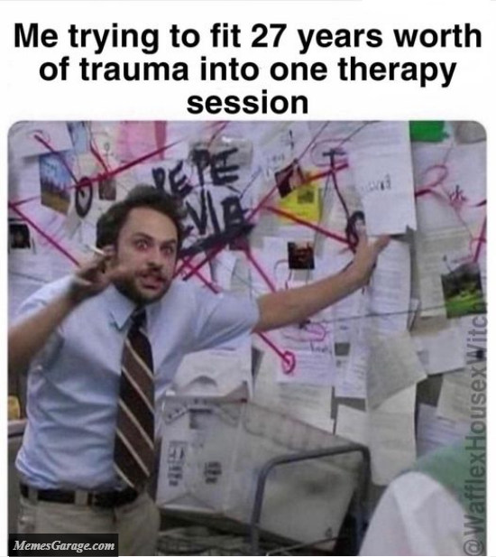 Me Trying To Fit 27 Years Of Trauma Into One Therapy Session Meme