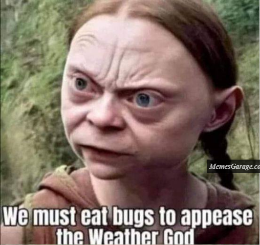 We Must Eat Bugs To Appease The Weather God Meme