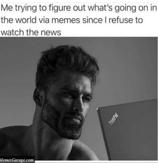 Me Figuring Out What's Going On In The World Via Memes Since I Refuse To Watch The News
