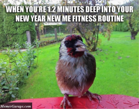 When You're 1,2 Minutes Into Your New Year New Fitness Routine Meme