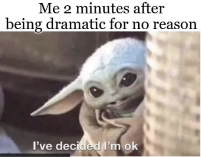 Me 2 Minutes After Being Dramatic For No Reason