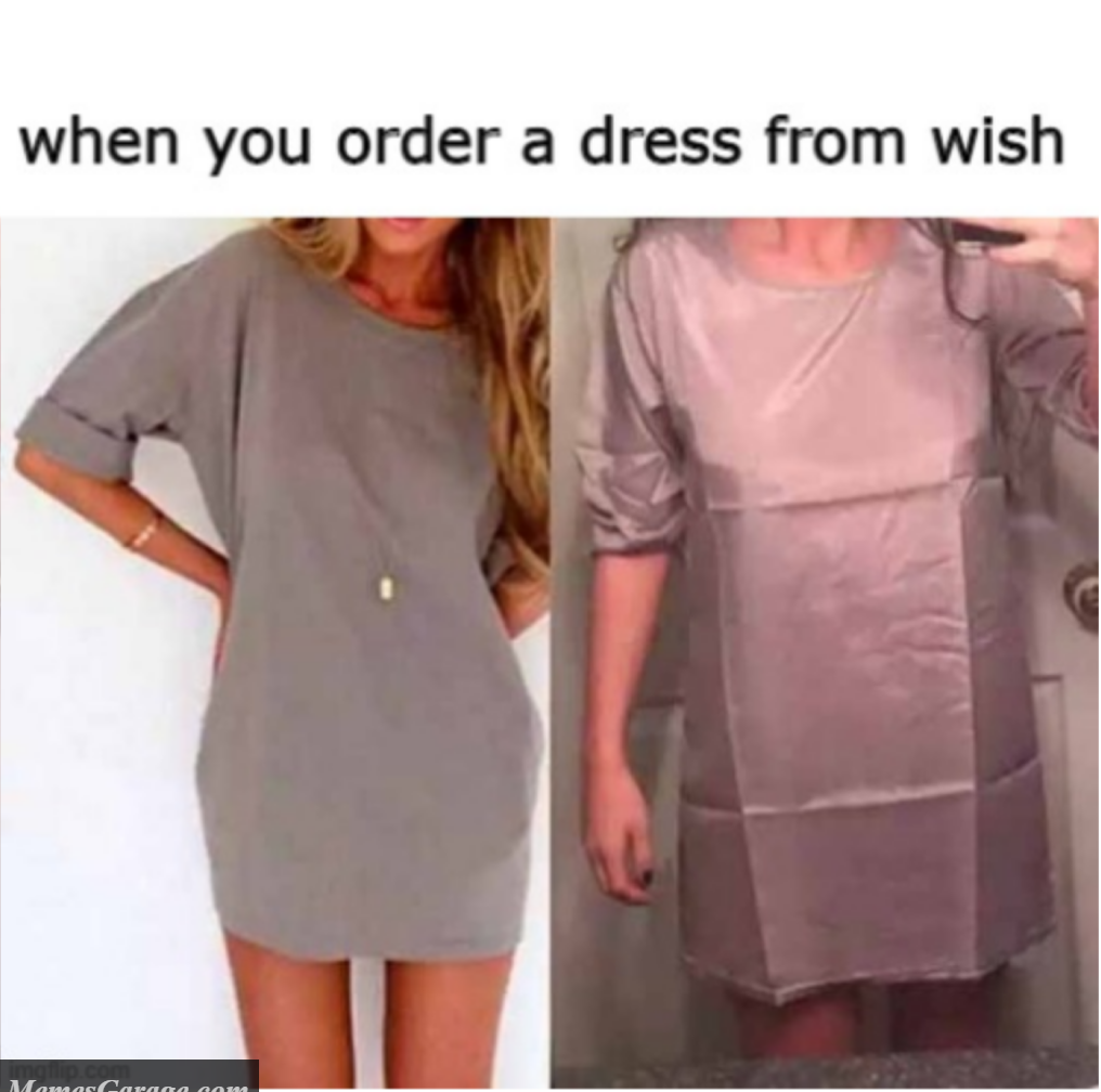 When You Order A Dress From Wish