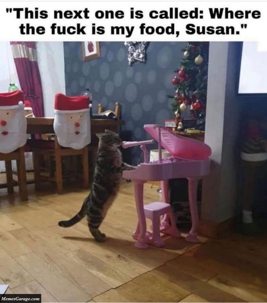 This Next One Is Called Where The Hell Is My Food, Susan Meme