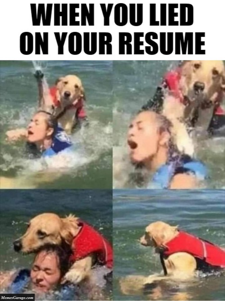 When You Lied On Your Resume Meme