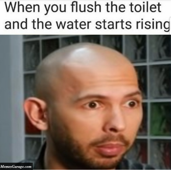 When You Flush The Toilet And The Water Starts Rising Meme