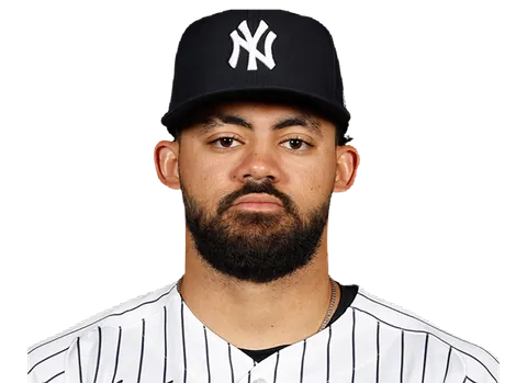 Jasson Dominguez