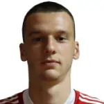 Novak Micovic