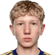 Luca Moisa