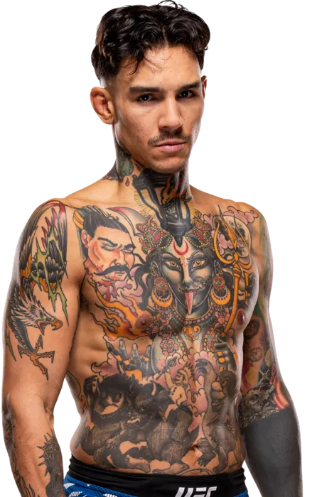 Andre Fili