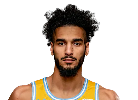 Malek Abdelgowad