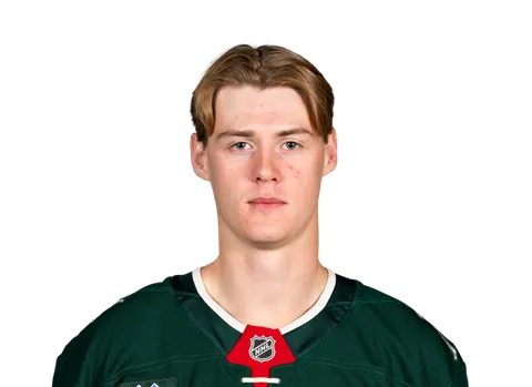 Viking Gustafsson Nyberg
