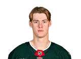 Viking Gustafsson Nyberg