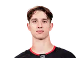 Mikael Diotte