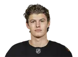 Lukas Reichel