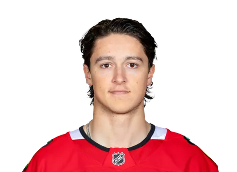 Nick Lardis