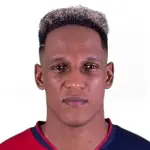 Yerry Mina