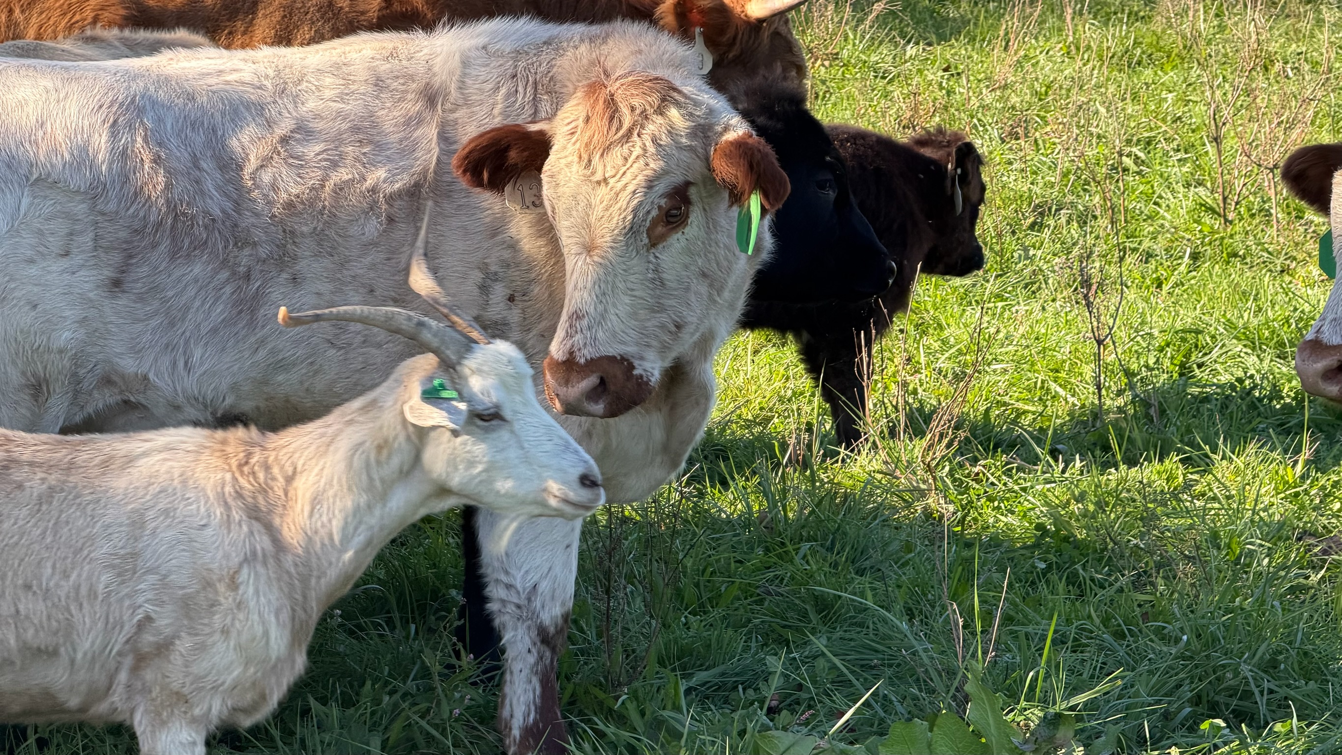 What Farm Management Software Actually Works?