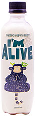 아임얼라이브 콤부차 라임민트 360ml