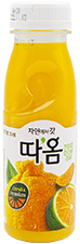 빙그레 따옴 천혜향 한라봉 청귤 235ml
