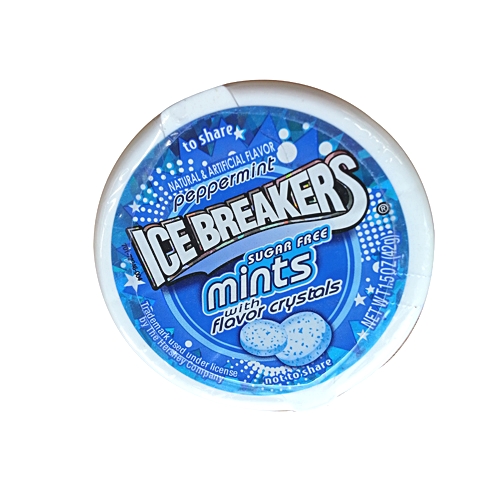 아이스브레이커스 민트향 42g