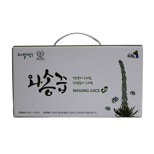 다약정 와송즙 110ml