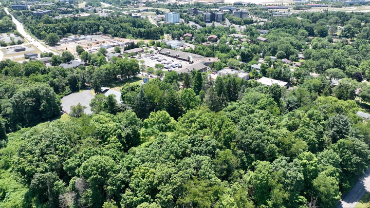 Screenshot 2026-02-12 at 11.38.34 PM