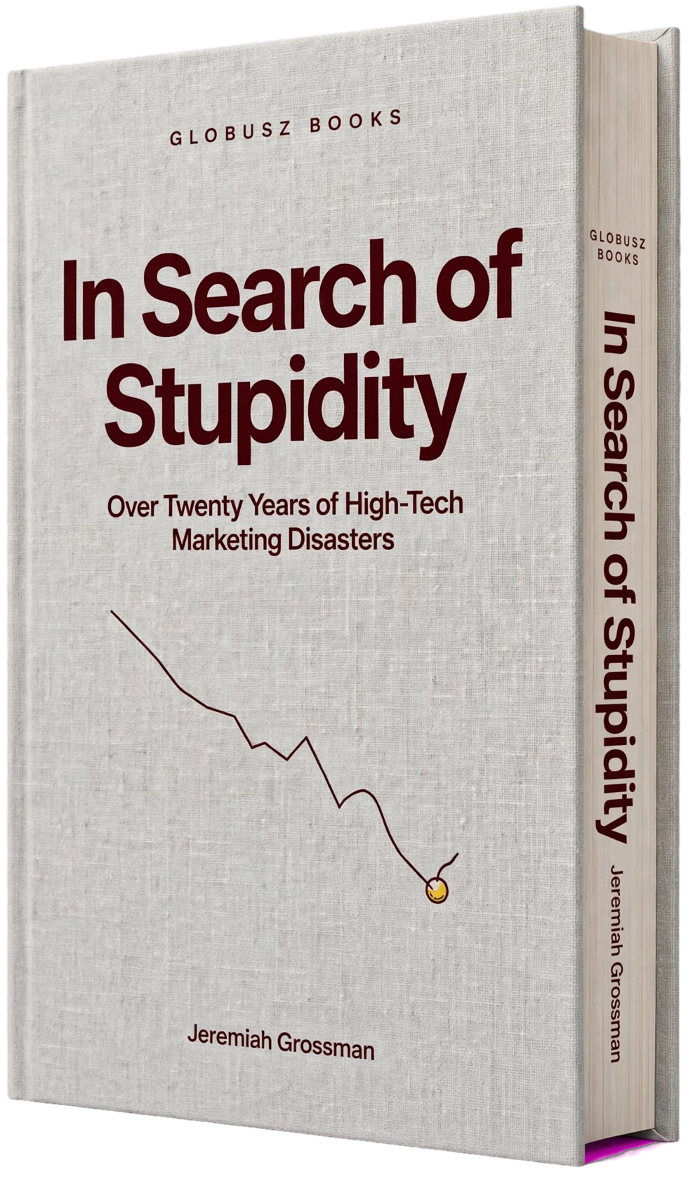 Cover of In Search of Stupidity: Over Twenty Years of High-Tech Marketing Disasters by Jeremiah Grossman