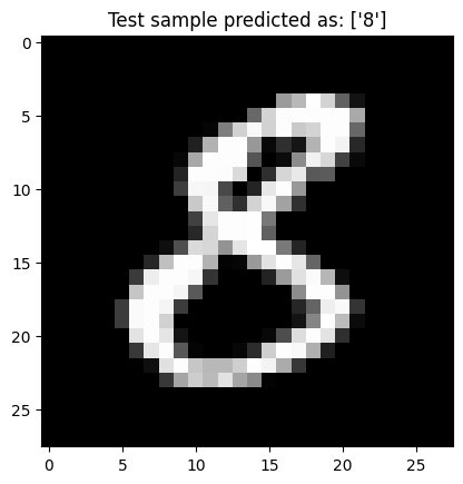 7-mnist-classification-image-predicted