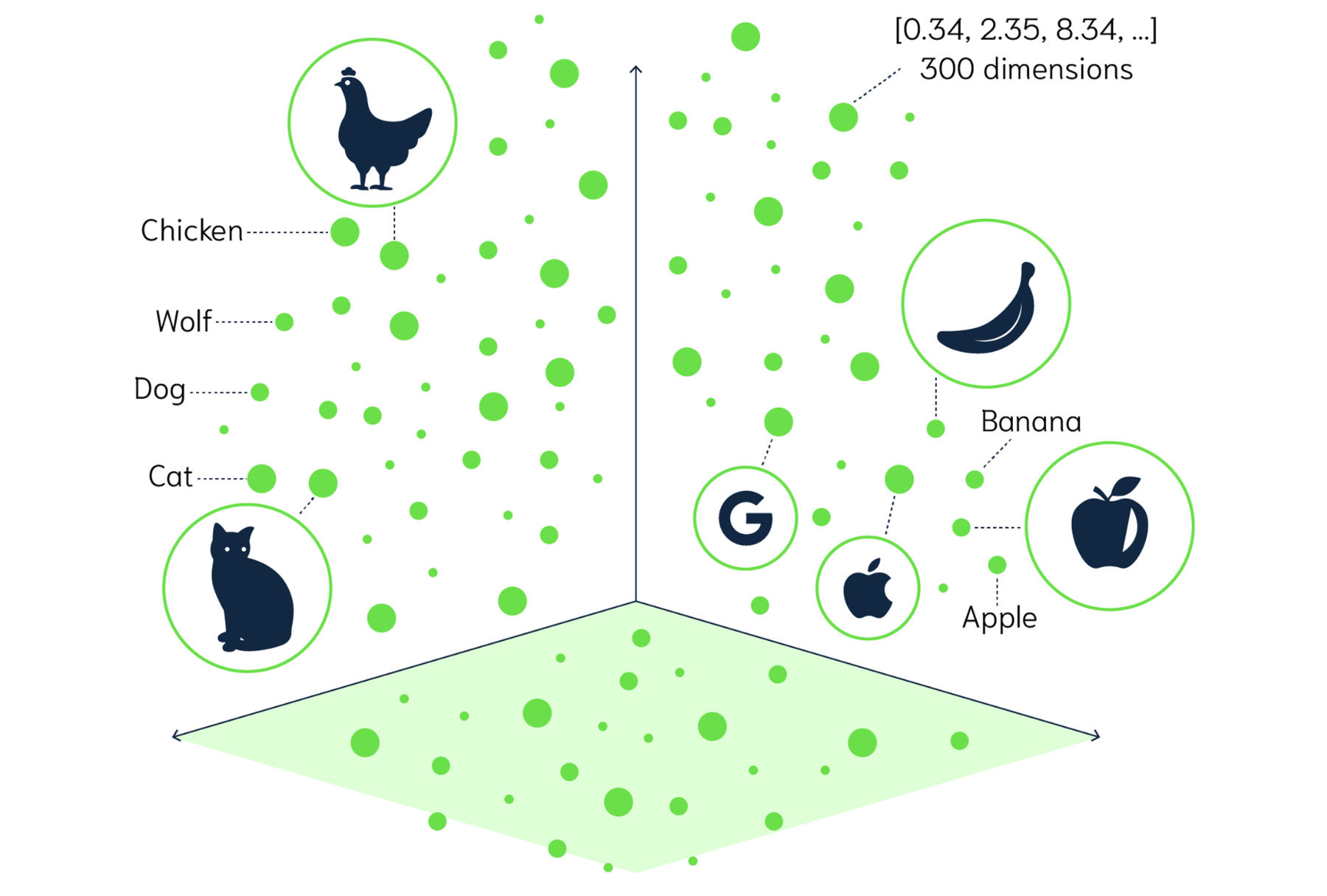 vectors-banana-apple-cat