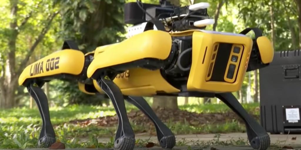 A Robot Dog Is Telling People To Keep Their Distance