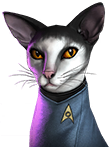 Cat Spock