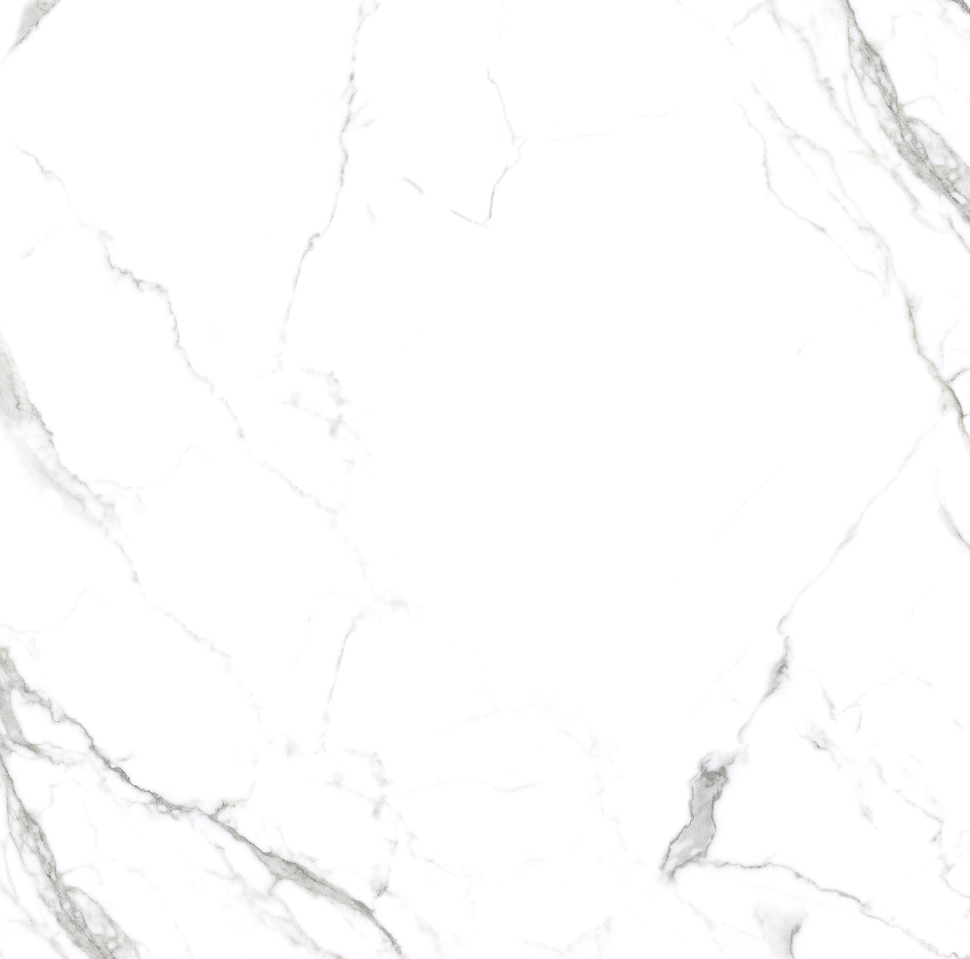 STATUARIO SPIDER - MATT 0808