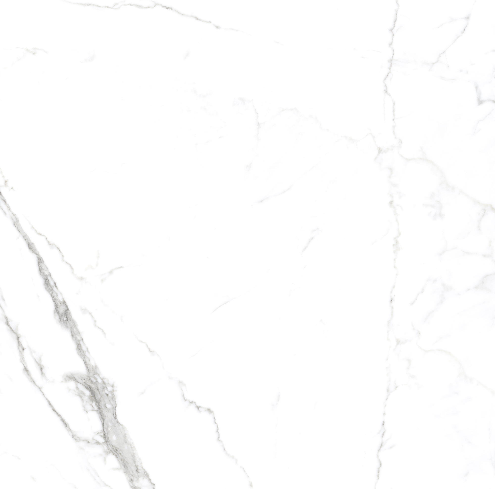 STATUARIO SPIDER - MATT 0808