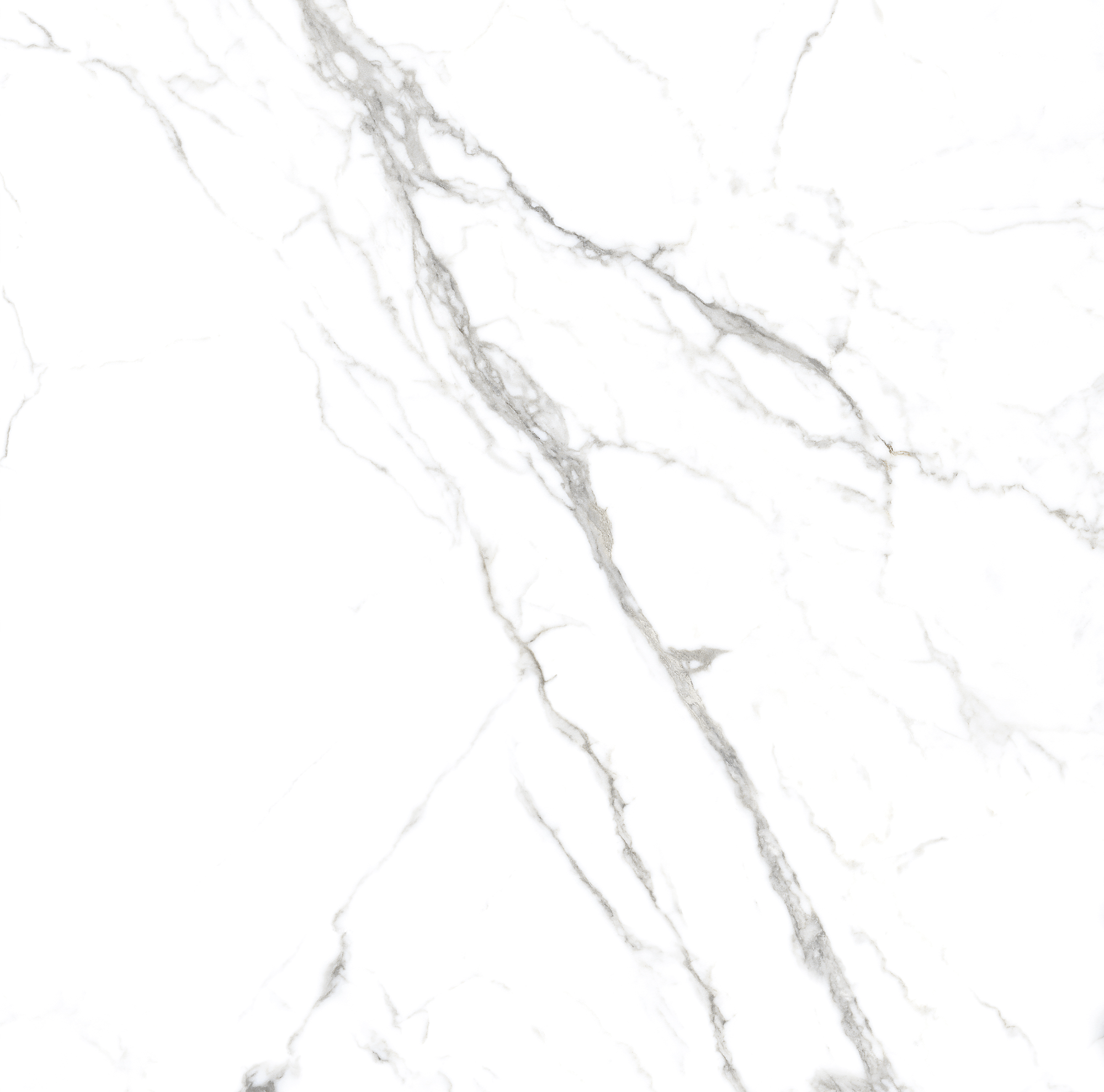 STATUARIO SPIDER - MATT 0808