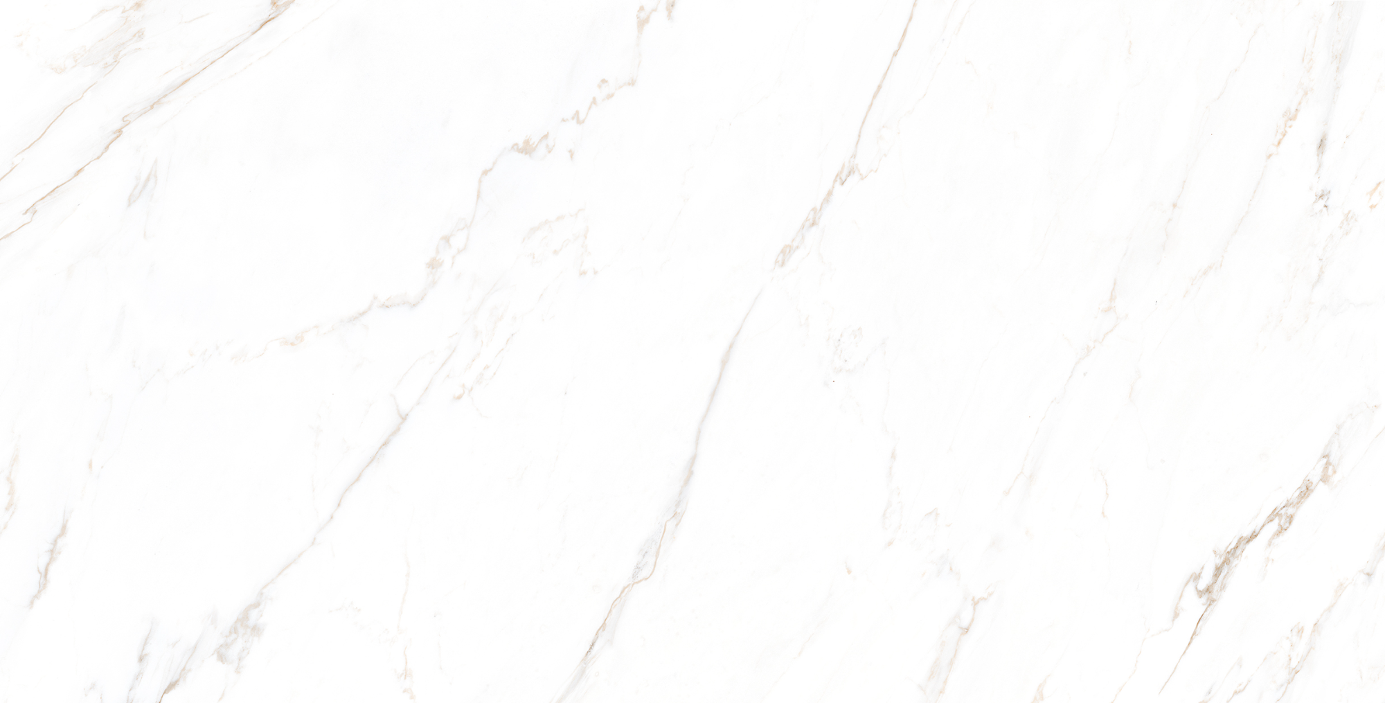 CARVED CARRARA GRANDE - CARVING MATT 0612