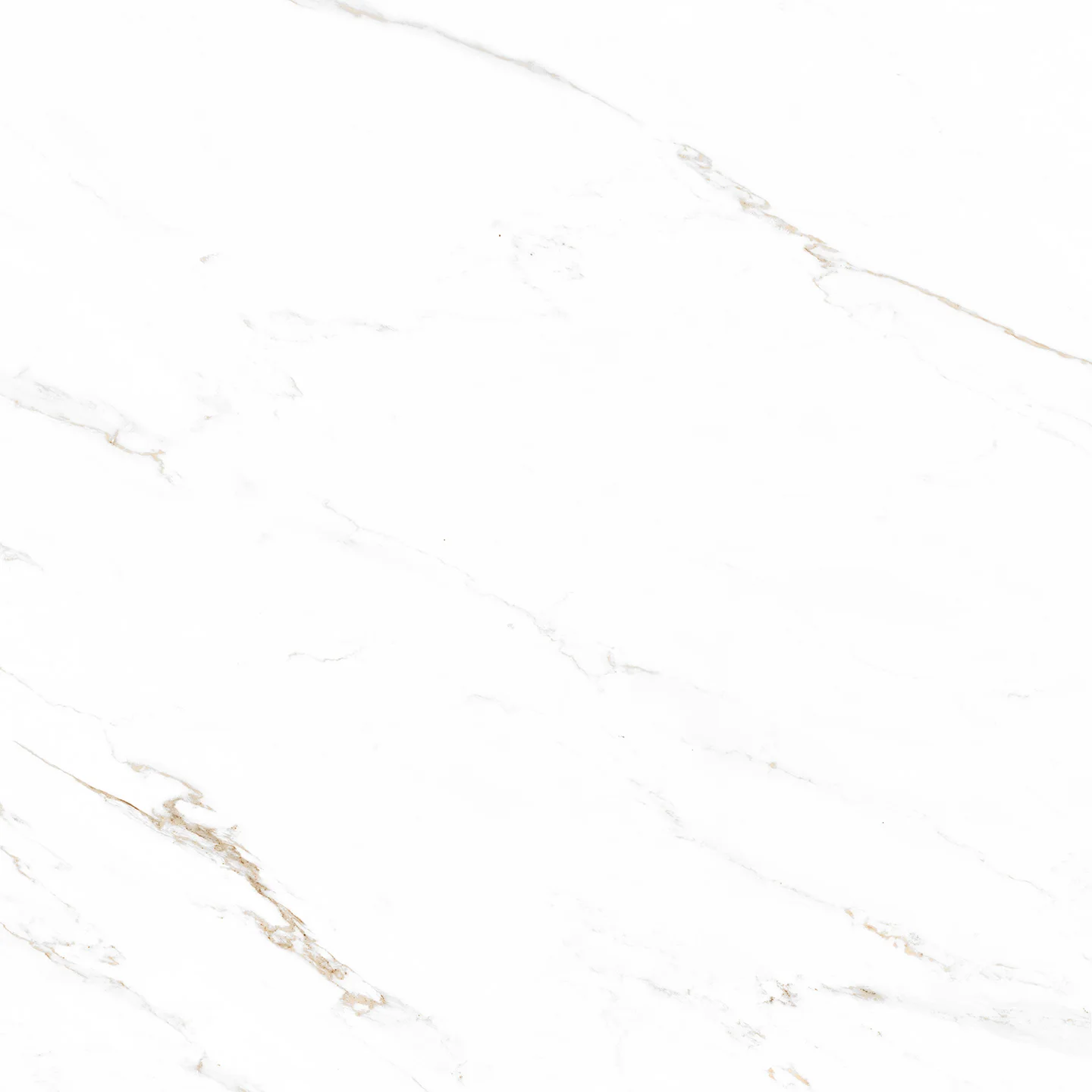 CARVED CARRARA - MATT 0808
