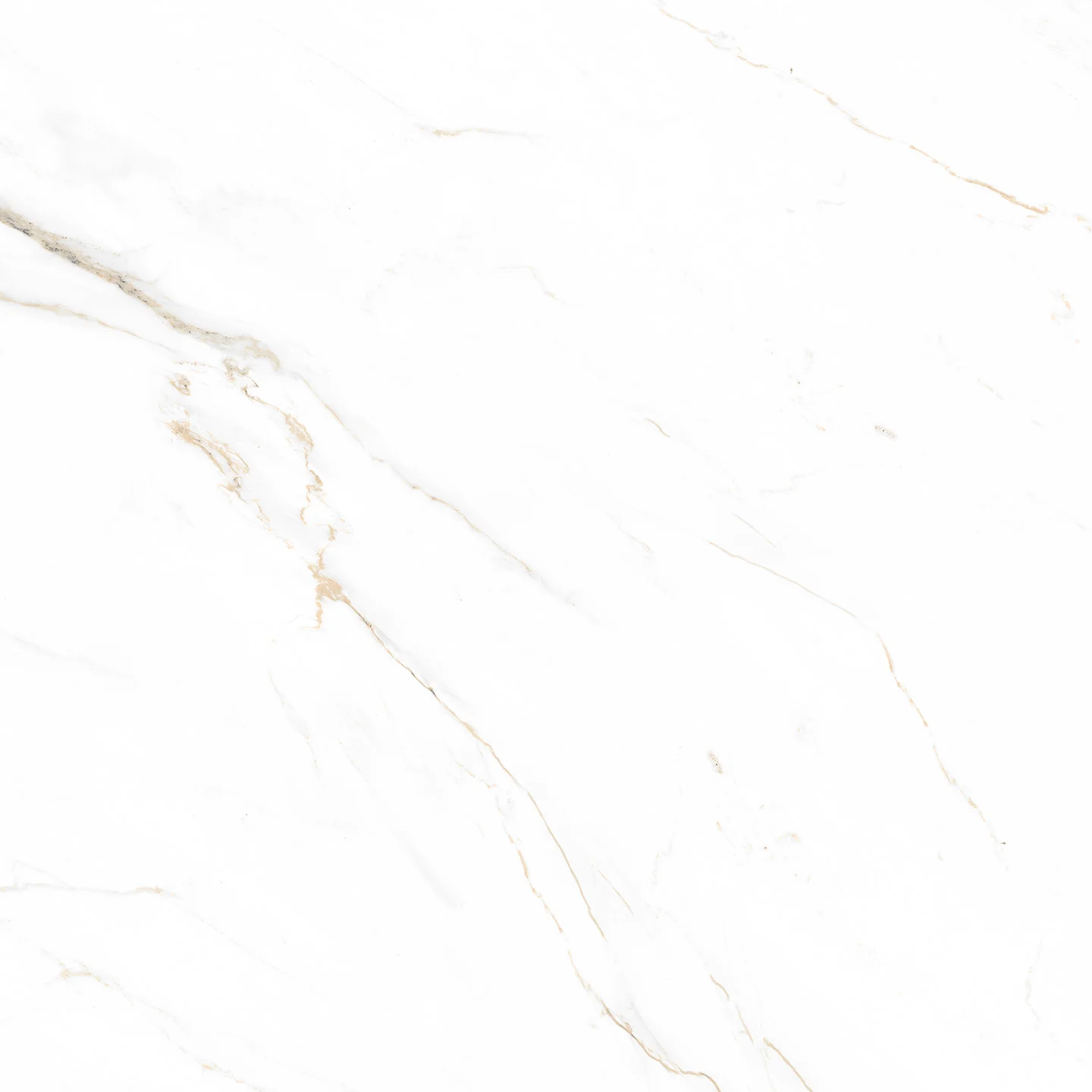 CARVED CARRARA - MATT 0808