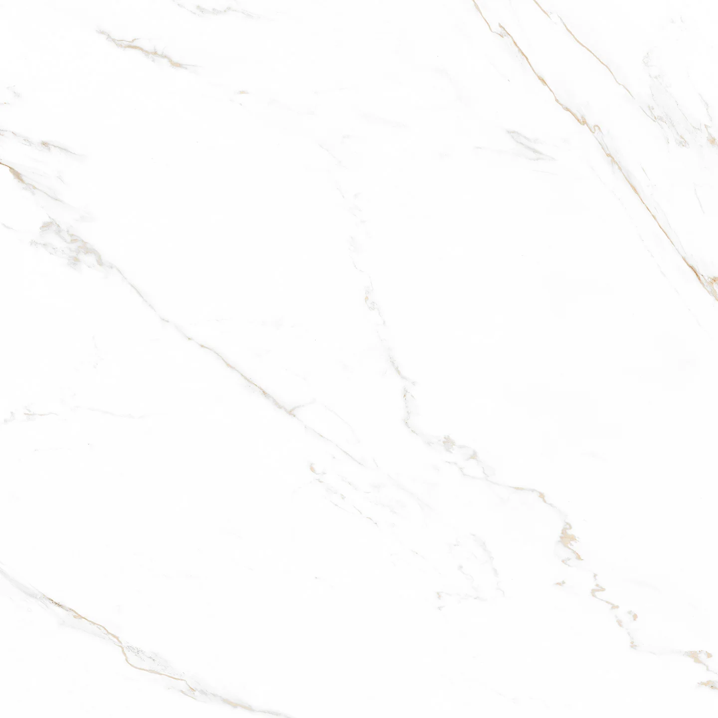 CARVED CARRARA - MATT 0808
