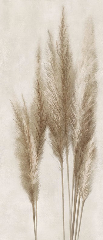 DECOR SOLUTIONS - PAMPA