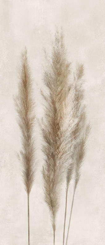 DECOR SOLUTIONS - PAMPA