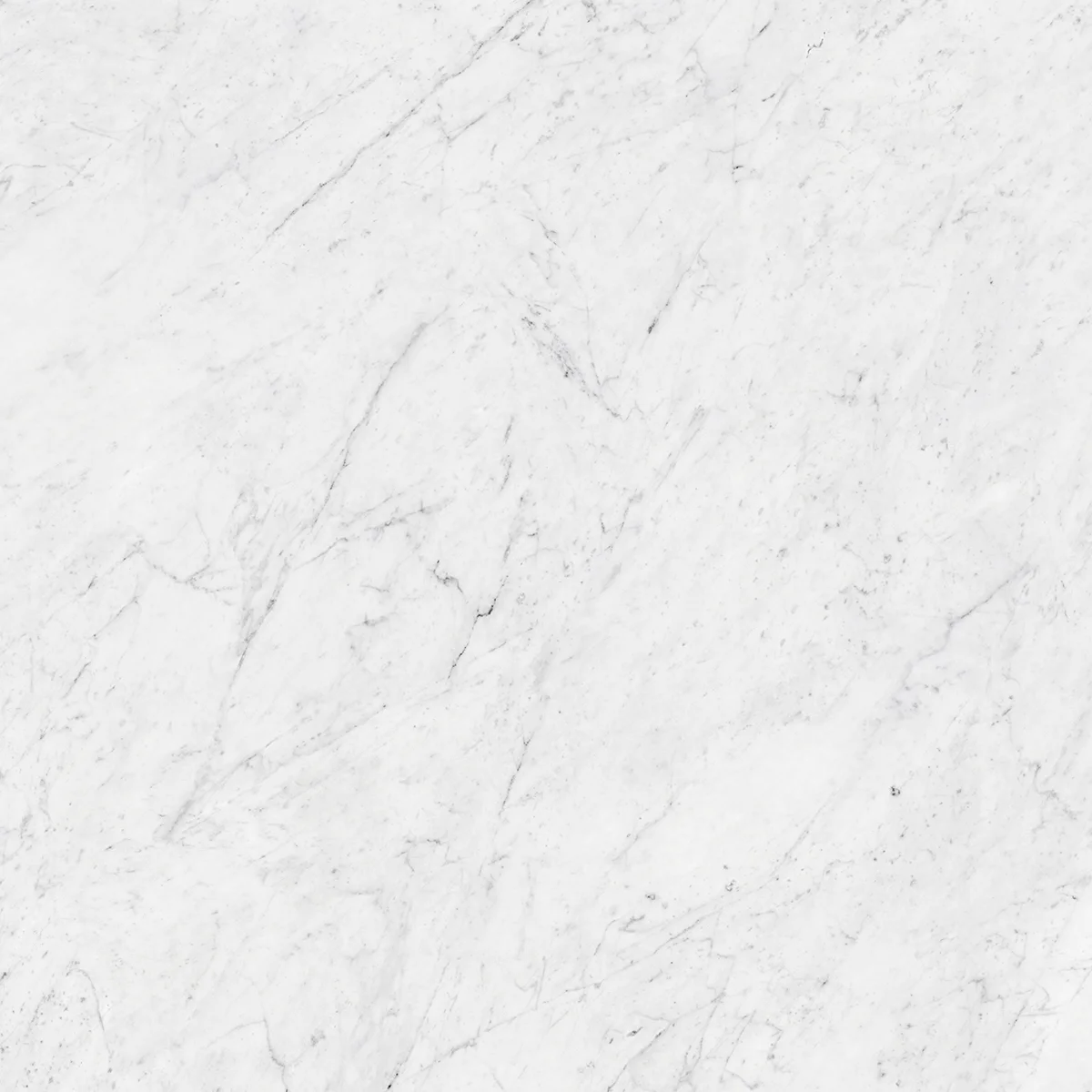 GIOLA SILVER - MATT 0808