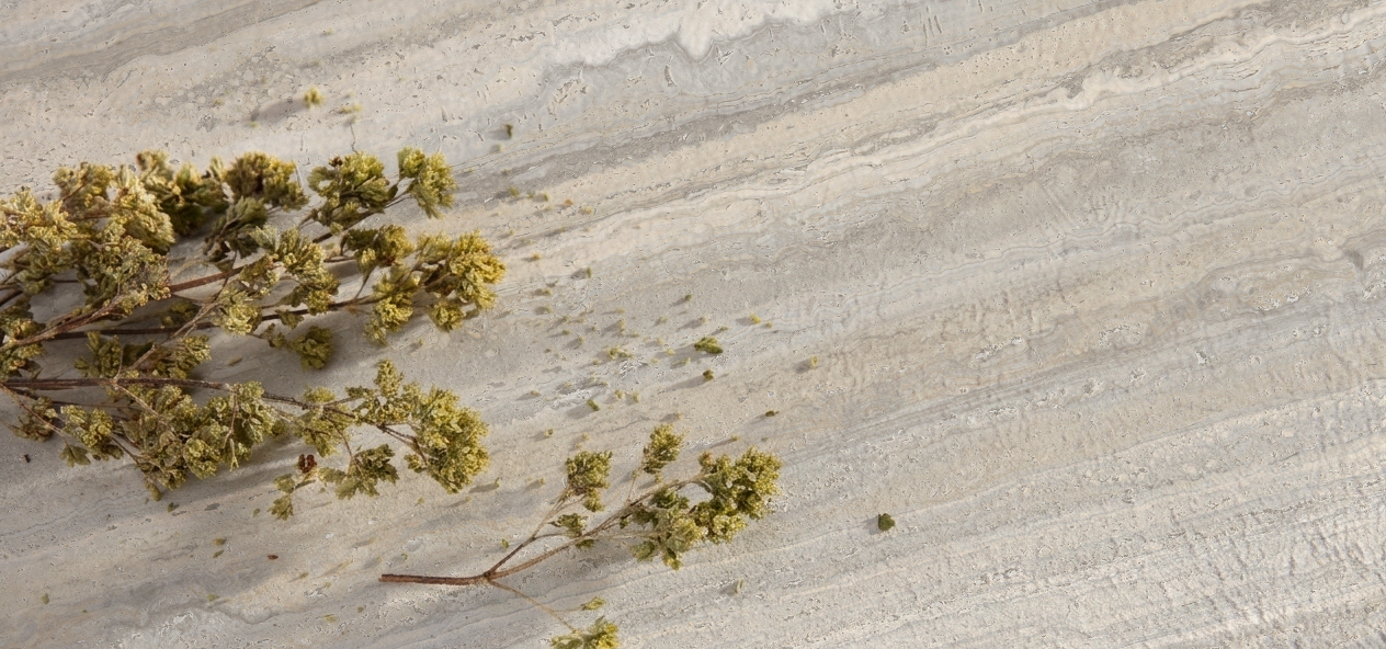 I NATURALI TRAVERTINO GRIGIO VENATO BOCC. 1000X3000 LAMINAM5