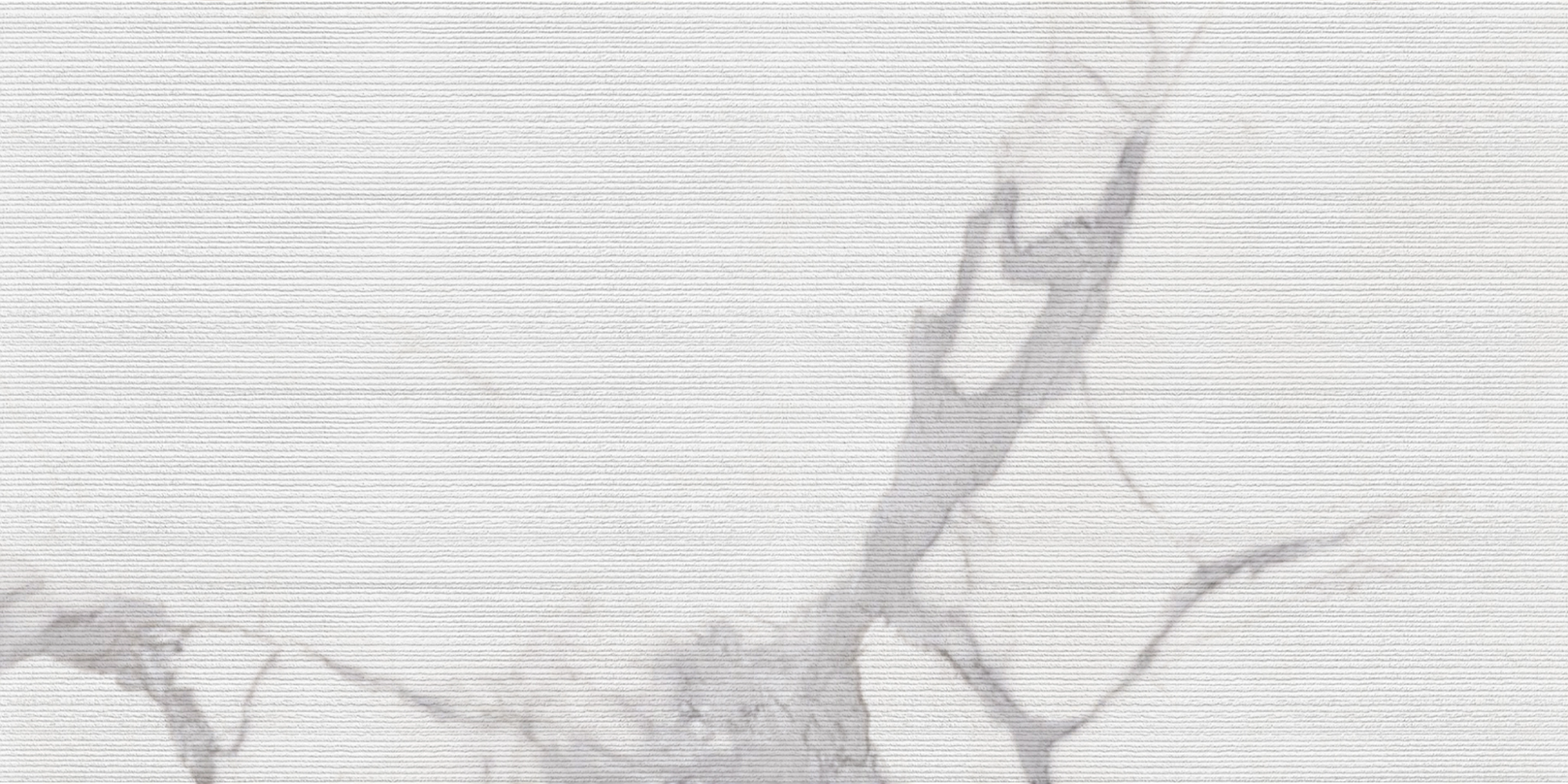 TEXTURE CALACATTA - RIGATO 598X1198