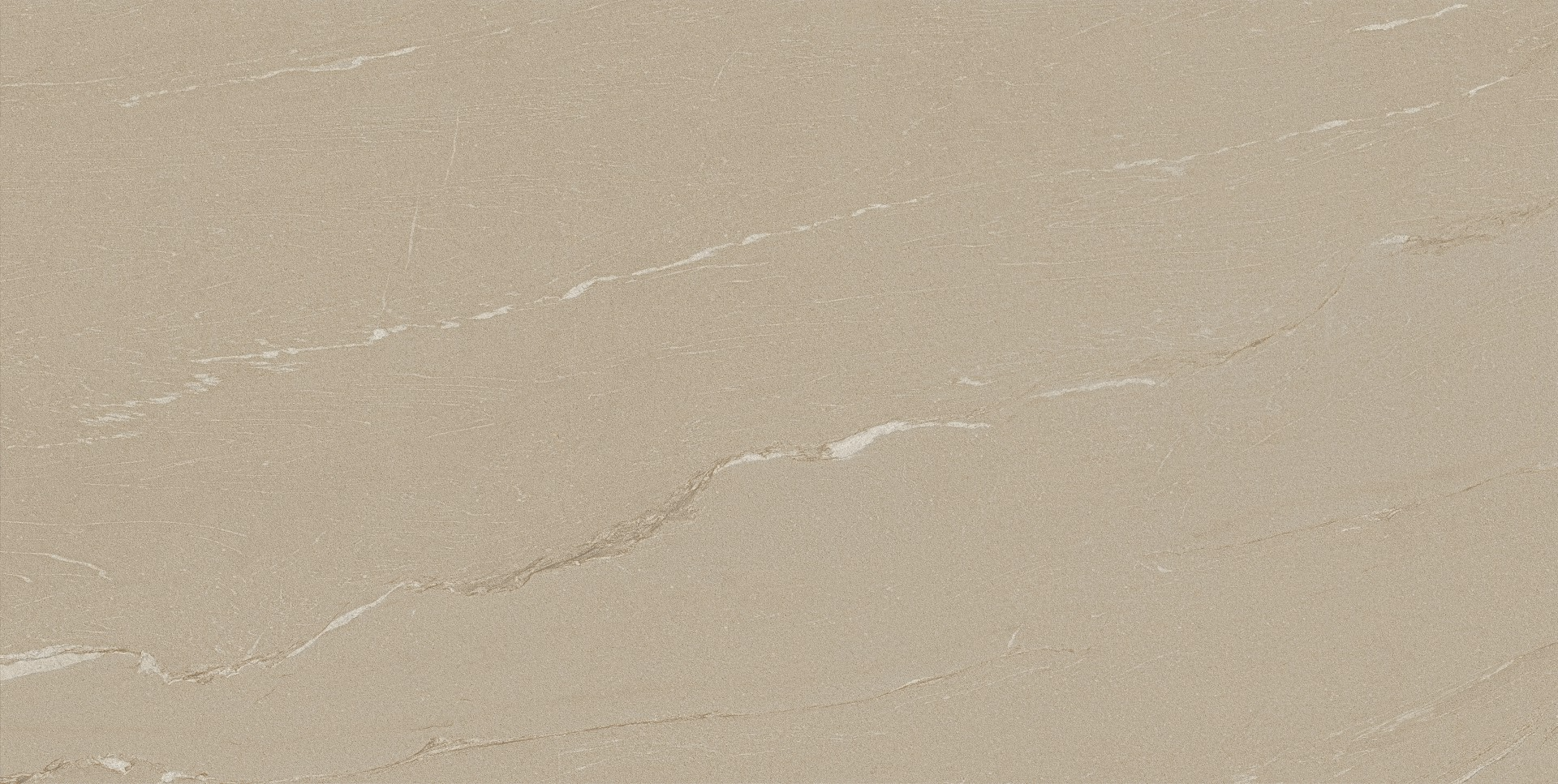 LITHIC PANNONIA - ABSOLUTE MATT 598X1198