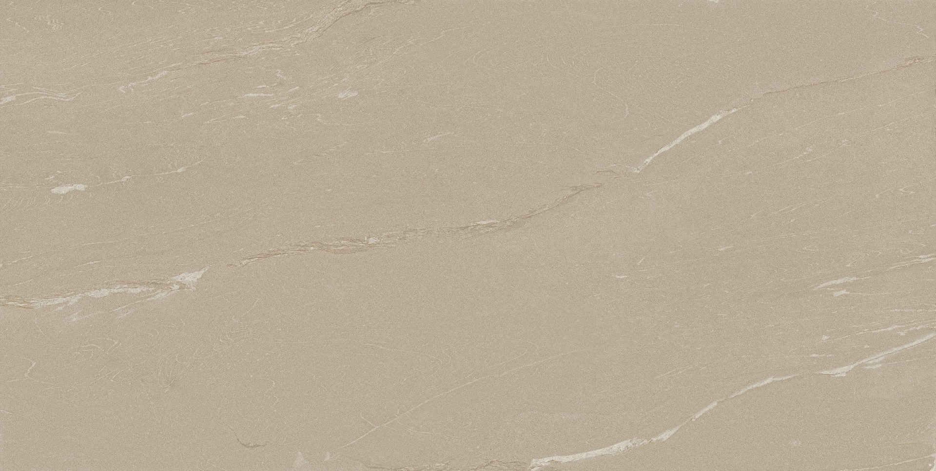 LITHIC PANNONIA - ABSOLUTE MATT 598X1198