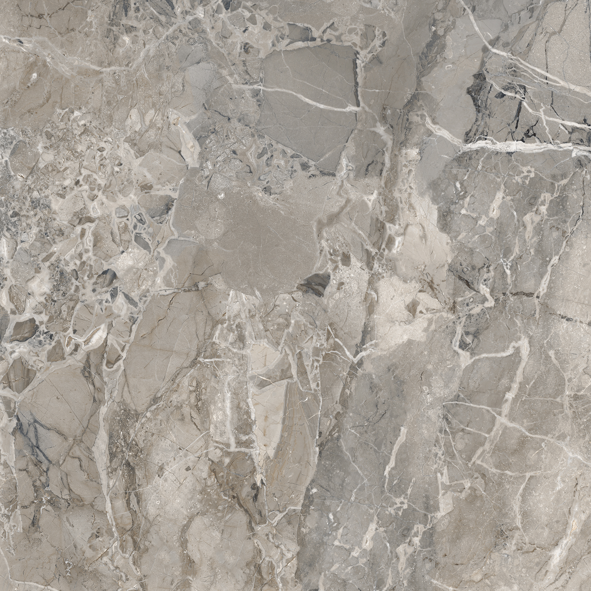 BRECCIA MARINO ASH - SILK MATT 1212